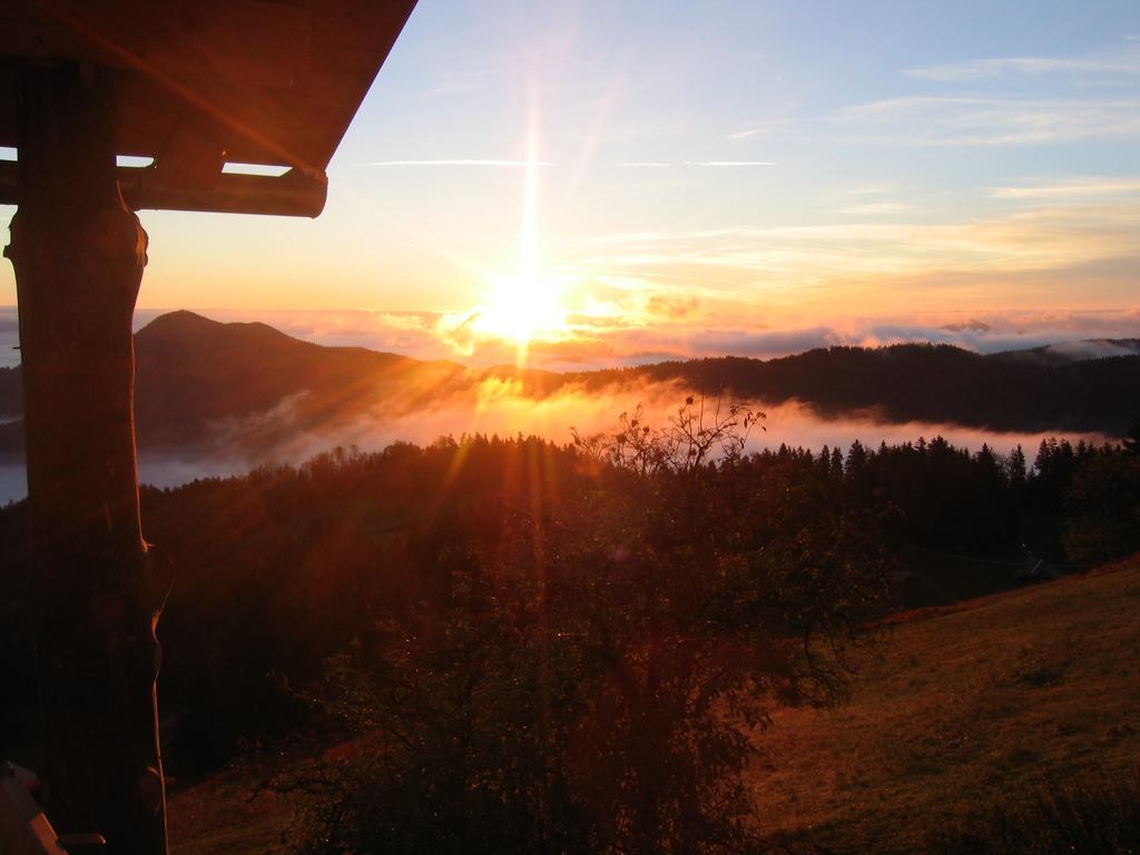Gostisce In Penzion Stari Vrh Poljane nad Škofjo Loko Екстериор снимка